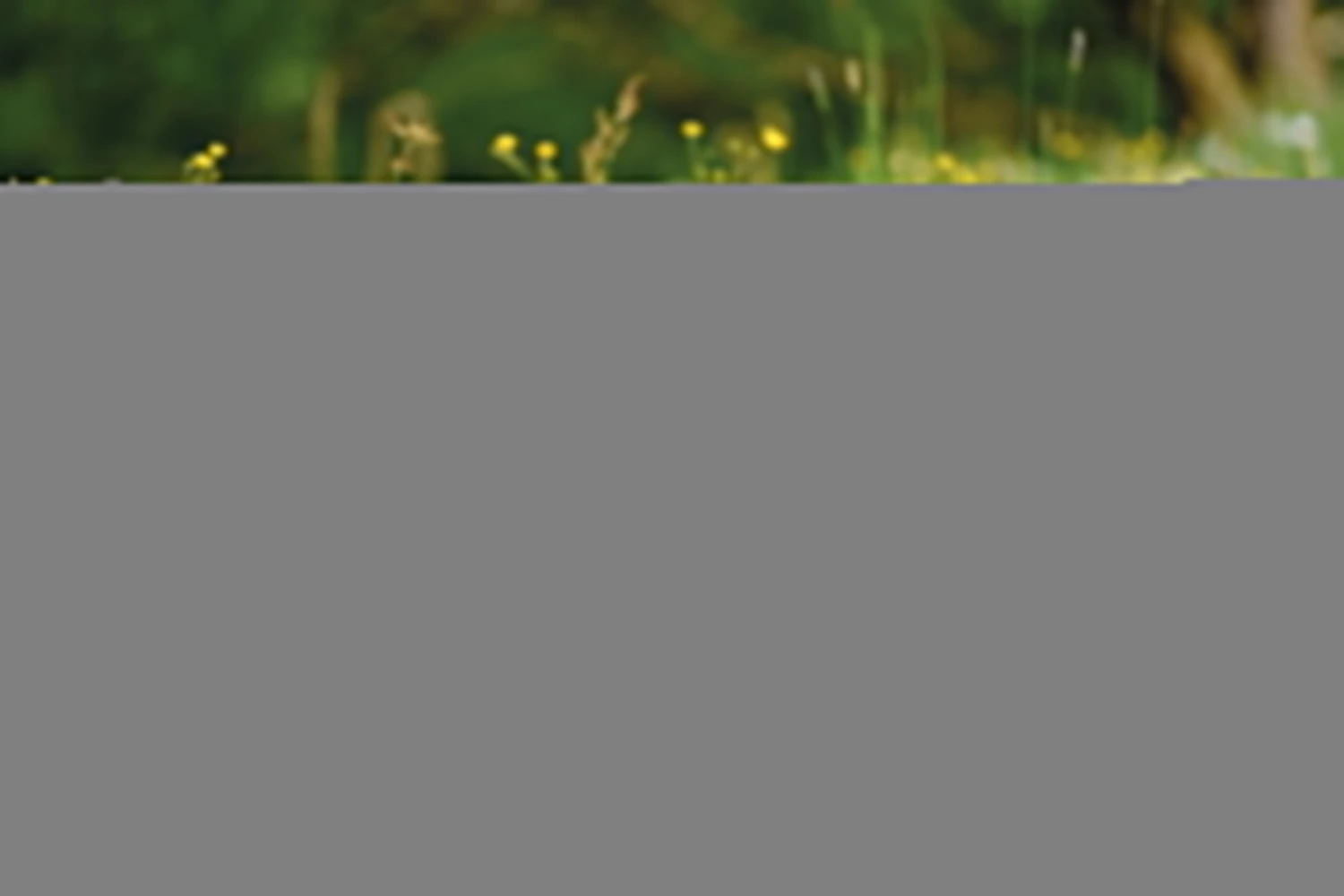 Nici 48605 Alpaka Chic Paka 25cm Stehend Plüsch Kuscheltier GREEN – Bild 5