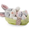 Nici 48706 Sleeping Pets Bunnies Hase Grau 12cm Schlafend Im Körbchen Grün